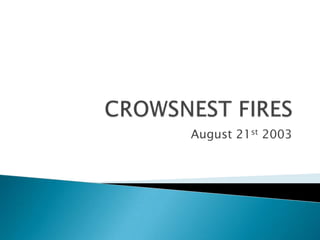 CROWSNEST FIRES August 21st 2003 