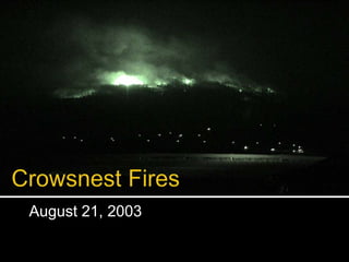 Crowsnest Fires August 21, 2003 