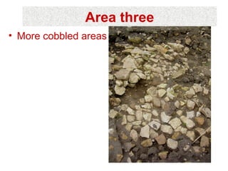 Area three
• More cobbled areas
 