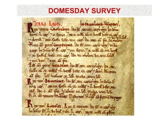 DOMESDAY SURVEY
 
