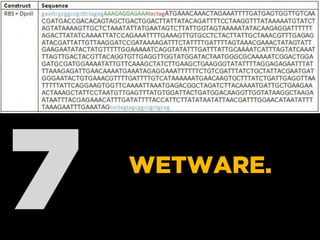7 WETWARE.
 