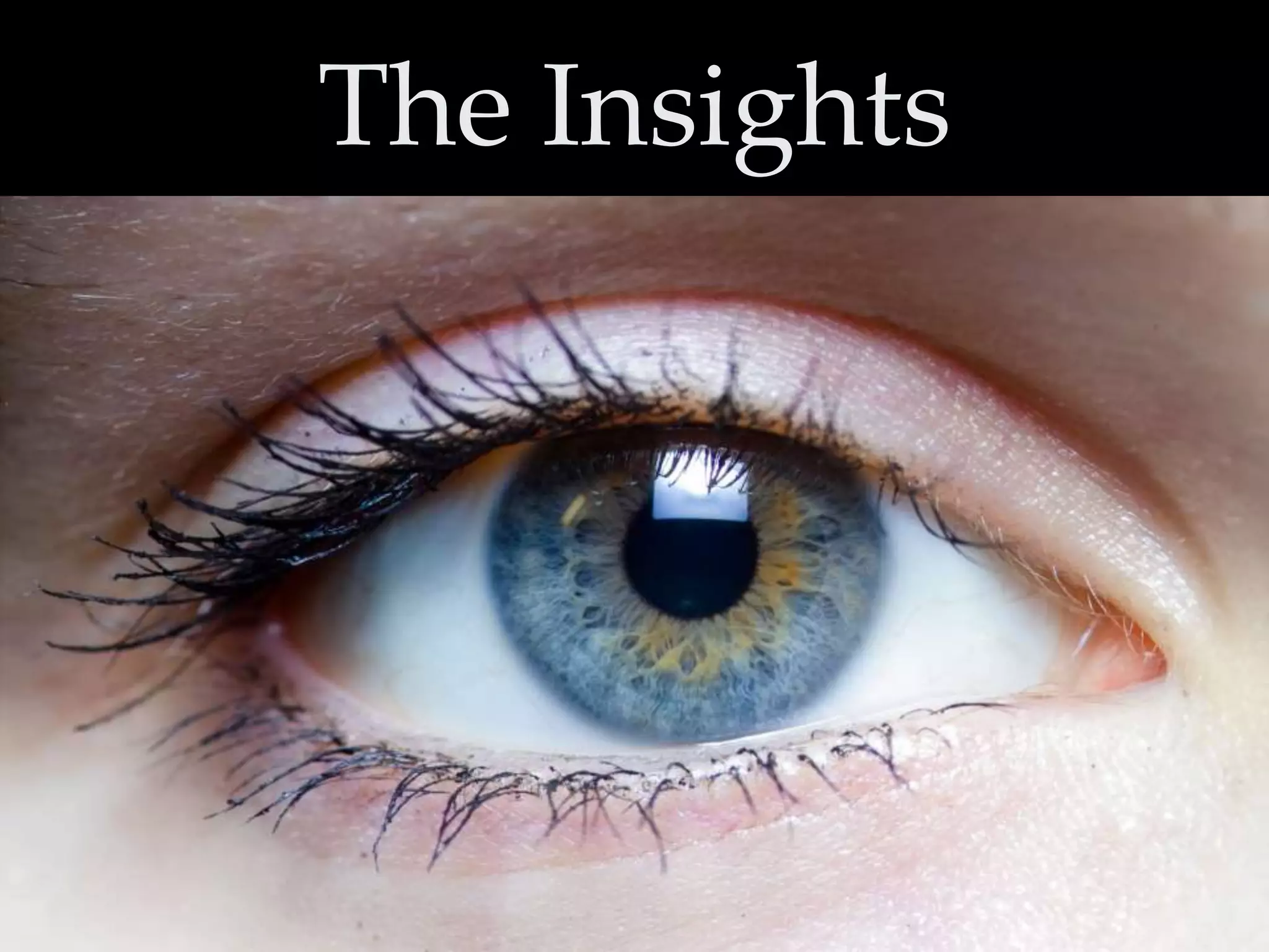 The Insights

 