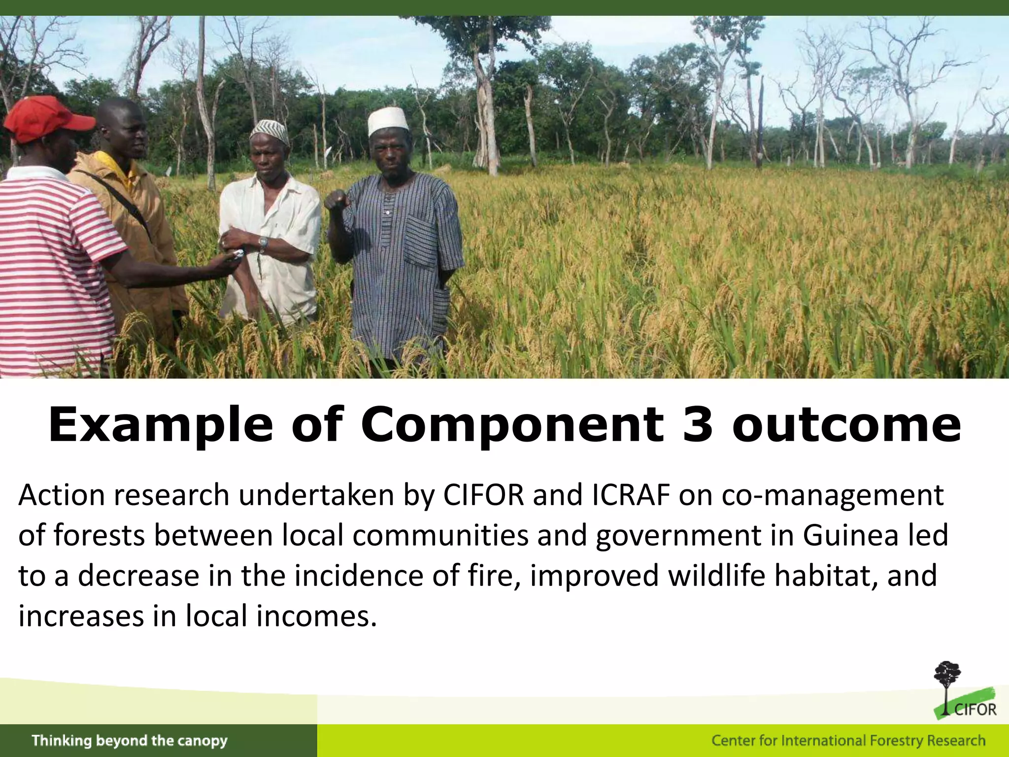 Conserving and characterizing high-quality germplasm of important tree crops and their wild relatives