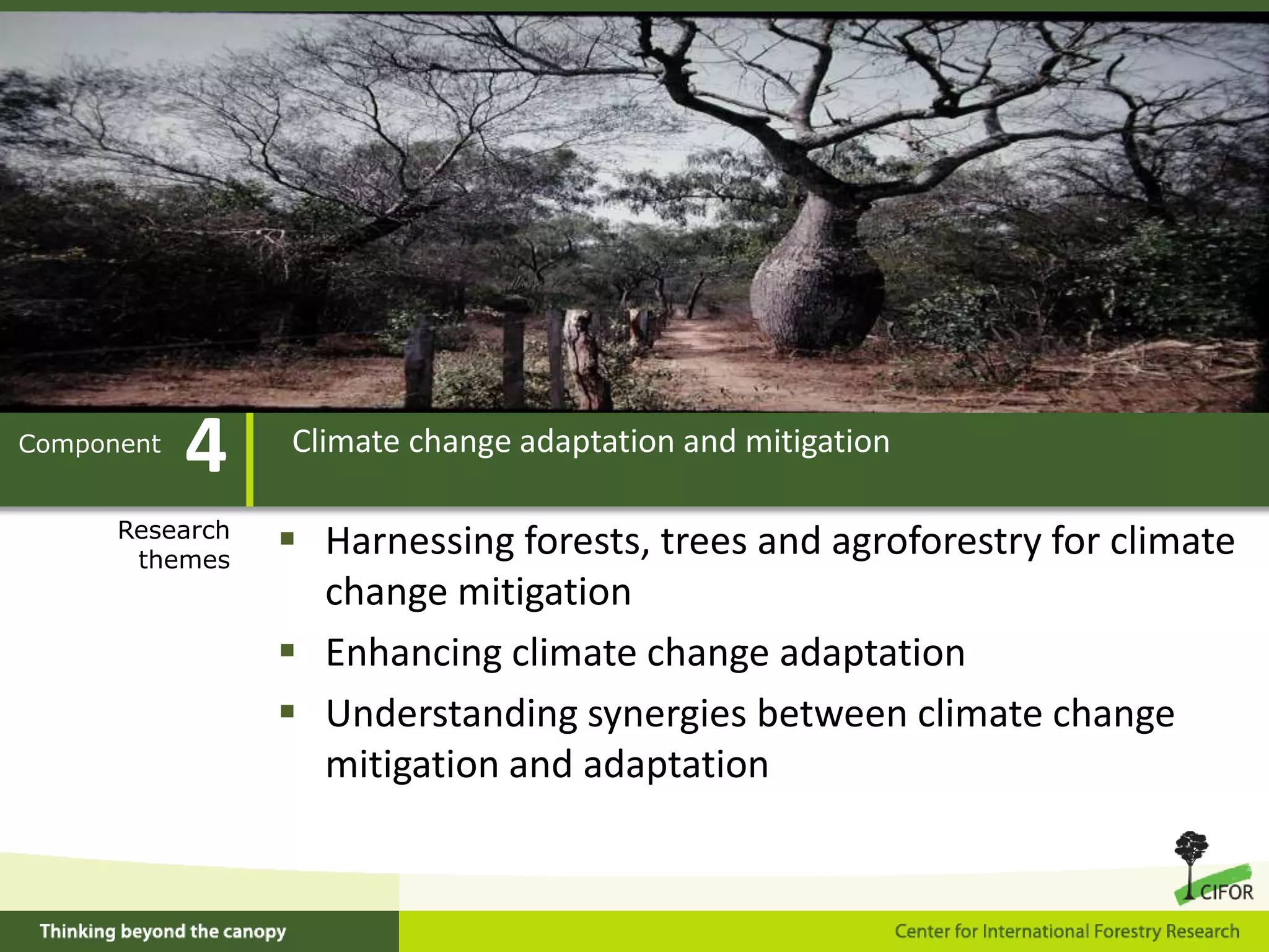 Developing tools and methods to resolve conflicts over distribution of benefits and resource rightsExample of Component 2 outcomeCIFOR assistance to the Forestry Stewardship Council’s efforts to refine FSC standards for small-scale operations with prospective application in Brazil, Cameroon, and Mexico Example of Component 2 researchCIFOR research on barriers to integration of timber and Brazil nut production in the Western Amazon3Environmental services and landscape managementComponentResearchthemesUnderstanding drivers of forest transition