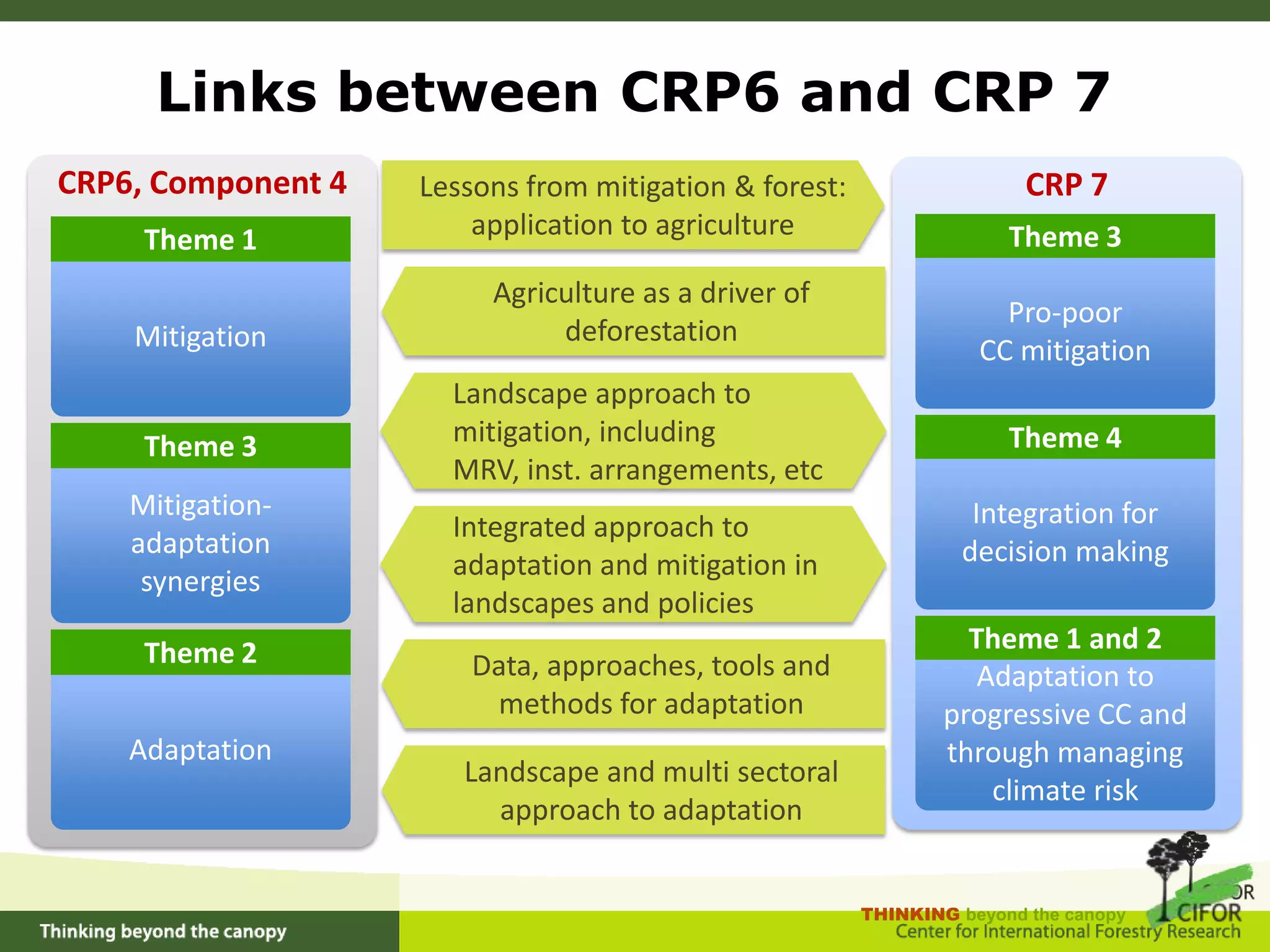 Understanding the consequences of forest transition for environmental services and livelihoods