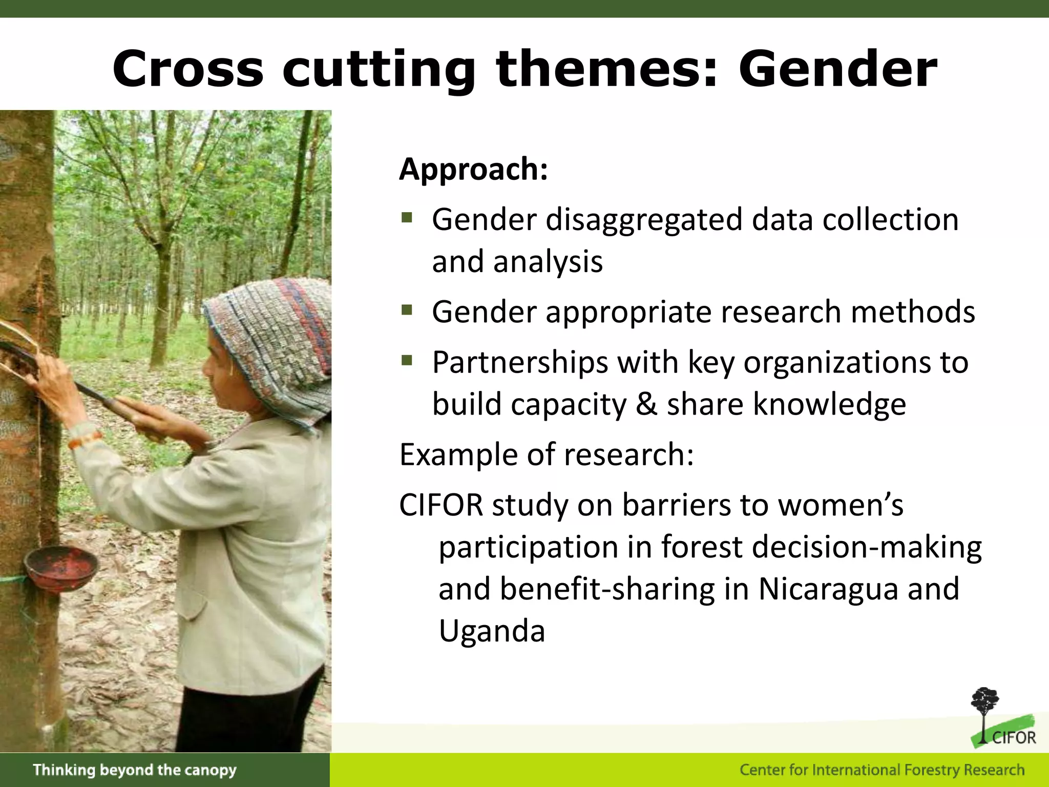 Example of Component 4 researchLearning from REDD: A global comparative analysis