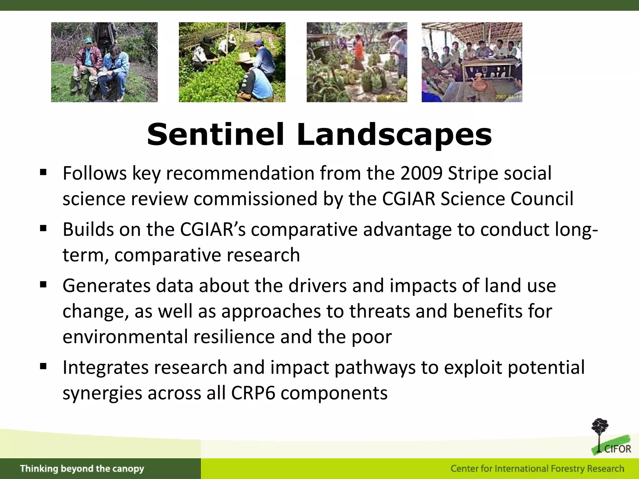 5Impacts of trade and investment on forests and peopleComponentResearchthemesUnderstanding the processes and impacts of forest-related trade and investment   