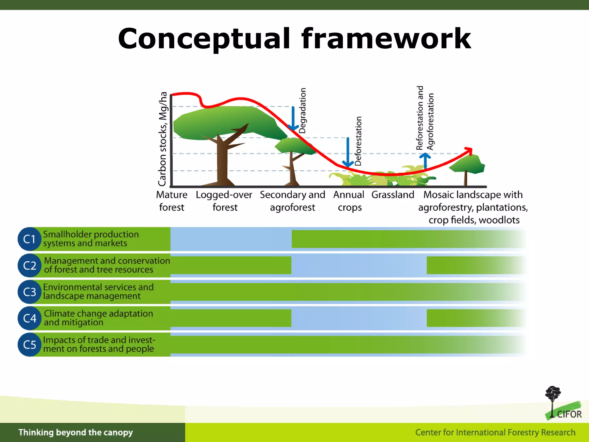  ComponentsSmallholder production systems and marketsManagement and conservation of forest and tree resourcesEnvironmental services and landscape managementClimate change adaptation and mitigationImpacts of trade and investment on forests and people