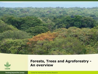Forests, Trees and Agroforestry -An overview 