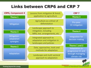 Understanding the consequences of forest transition for environmental services and livelihoods