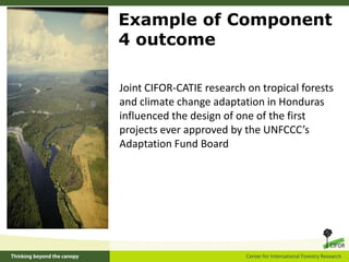 Learning landscapes: dynamics of multi-functionalityExample of Component 3 outcomeAction research undertaken by CIFOR and ICRAF on co-management of forests between local communities and government in Guinea led to a decrease in the incidence of fire, improved wildlife habitat, and increases in local incomes.