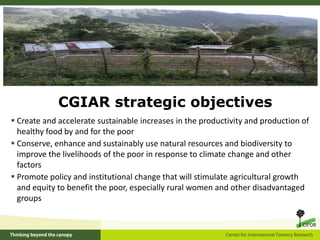 CGIAR strategic objectivesCreate and accelerate sustainable increases in the productivity and production of healthy food by and for the poor 