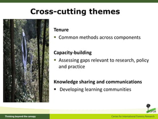 Example of Component 4 outcomeJoint CIFOR-CATIE research on tropical forests and climate change adaptation in Honduras influenced the design of one of the first projects ever approved by the UNFCCC’s Adaptation Fund Board