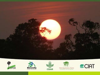 Sentinel LandscapesFollows key recommendation from the 2009 Stripe social science review commissioned by the CGIAR Science Council