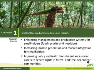 CGIAR Research Program 6 - An overview