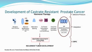 Castrate Resistant Prostate Cancer | PPTX
