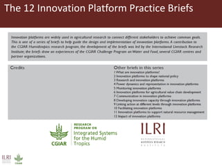 The 12 Innovation Platform Practice Briefs
 