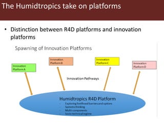 Deciphering the DNA of innovation platforms