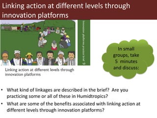 Deciphering the DNA of innovation platforms