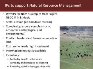 Deciphering the DNA of innovation platforms