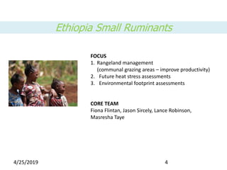 Livestock and the Environment Flagship: Initial ideas for integrated core project