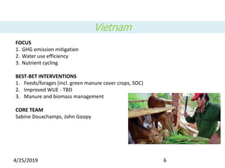 Livestock and the Environment Flagship: Initial ideas for integrated core project