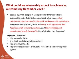 Ethiopia small ruminant value chain initial ideas for integrated core project