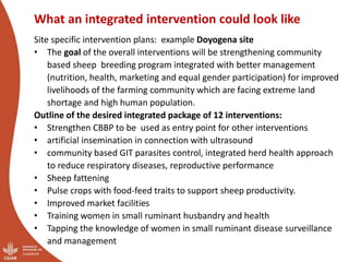 Ethiopia small ruminant value chain initial ideas for integrated core project