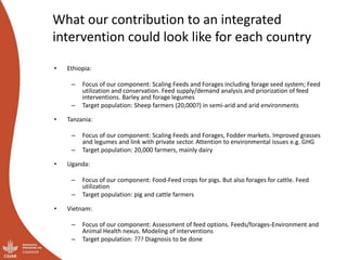 What our contribution to an integrated
intervention could look like for each country
• Ethiopia:
– Focus of our component: Scaling Feeds and Forages including forage seed system; Feed
utilization and conservation. Feed supply/demand analysis and priorization of feed
interventions. Barley and forage legumes
– Target population: Sheep farmers (20,000?) in semi-arid and arid environments
• Tanzania:
– Focus of our component: Scaling Feeds and Forages, Fodder markets. Improved grasses
and legumes and link with private sector. Attention to environmental issues e.g. GHG
– Target population: 20,000 farmers, mainly dairy
• Uganda:
– Focus of our component: Food-Feed crops for pigs. But also forages for cattle. Feed
utilization
– Target population: pig and cattle farmers
• Vietnam:
– Focus of our component: Assessment of feed options. Feeds/forages-Environment and
Animal Health nexus. Modeling of interventions
– Target population: ??? Diagnosis to be done
 