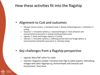 How these activities fit into the flagship
• Alignment to CoA and outcomes
– Ethiopia: Across clusters. 1. Gendered Feast; 2. Barley and feed legumes; 3. Utilization; 4
scaling
– Tanzania: 1. Innovation systems; 2. improved forages; 3. Feed utilization and
environmental assessment; 4. Scaling including private sector
– Uganda: 2. Feeds and Forages options; 4. Scaling
– Vietnam: 1. Innovation systems; 2. Defining priority Feed and Forage options; 3.
environmental and Health assessment; 4. initiating scaling
• Key challenges from a flagship perspective
– Uganda: Many F&F rather for cattle
– Vietnam: Diagnosis needed. Transition from Pigs to cattle systems. Intensifying
linkages with other flagships e.g. Animal Health and Livestock and
Environment. Time short
 