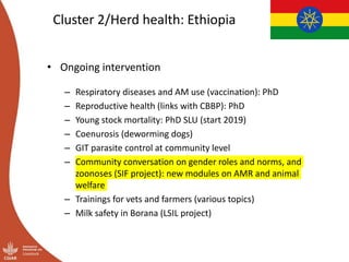 Livestock Health Flagship: Initial ideas for Integrated Core Project