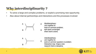 Strengthening Interdisciplinarity: Initial ideas for Livestock CRP Integrated Core Project