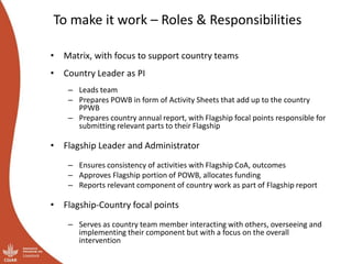 Planning the Priority Country Programs