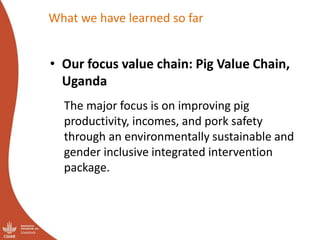 Uganda Pig Value Chain: Initial ideas for Integrated Core Project