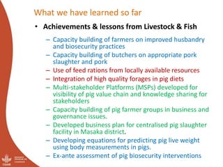 Uganda Pig Value Chain: Initial ideas for Integrated Core Project