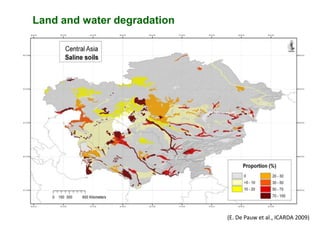 Mainstreaming gender in the CRP Dryland Systems in Central Asia