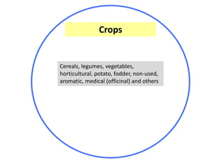 Mainstreaming gender in the CRP Dryland Systems in Central Asia