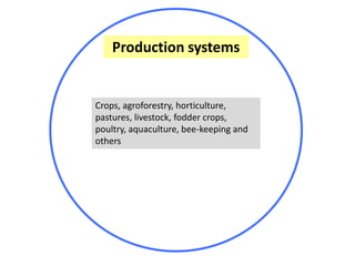 Mainstreaming gender in the CRP Dryland Systems in Central Asia