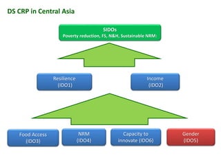Mainstreaming gender in the CRP Dryland Systems in Central Asia