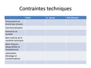 Contraintes techniques 
Bittit A. Jemaa Sidi Slimane 
Financement et 
cherté des intrants 
Commercialisation 
Semences et 
variétés 
Non maitrise de la 
conduite technique 
Main d’oeuvre 
(disponibilité et 
compétences) 
valorisation 
(Stockage et 
transformation) 
 