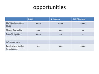 opportunities 
Bittit A. Jemaa Sidi Slimane 
PMV (subventions 
FDA) 
++++ ++++ ++++ 
Climat favorable +++ +++ ++ 
Eau d’irrigation ++++ ++ + 
Infrastructure 
Proximité marché, 
fournisseurs 
++ +++ ++++ 
 