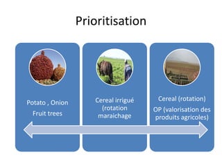 Prioritisation 
Potato , Onion 
Fruit trees 
Cereal irrigué 
(rotation 
maraichage 
Cereal (rotation) 
OP (valorisation des 
produits agricoles) 
 