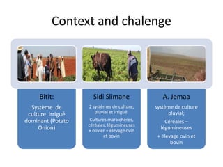 Context and chalenge 
Bitit: 
Système de 
culture irrigué 
dominant (Potato 
Onion) 
Sidi Slimane 
2 systèmes de culture, 
pluvial et irrigué. 
Cultures maraichères, 
céréales, légumineuses 
+ olivier + élevage ovin 
et bovin 
A. Jemaa 
système de culture 
pluvial; 
Céréales – 
légumineuses 
+ élevage ovin et 
bovin 
 
