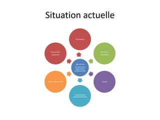 Situation actuelle 
fournisseurs 
Agriculteurs 
Groupements 
Organisation 
professionnelle 
Recherche 
innovaition 
Conseil 
Intermédiaires 
commercialisatrion 
Financement 
subvention 
Appui institiutionnel 
 