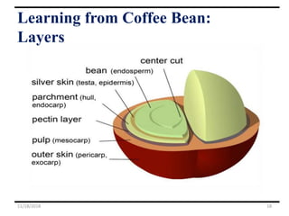 Learning from Coffee Bean:
Layers
11/18/2018 18
 