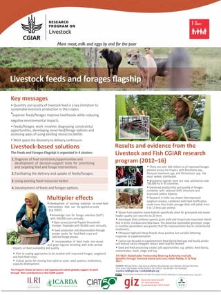 Variable
Key messages
• Quantity and quality of livestock feed is a key limitation to
sustainable livestock production in the tropics.
•Superior feeds/forages improve livelihoods while reducing
negative environmental impacts.
• Feeds/forages work involves diagnosing constraints/
opportunities, developing novel feed/forage options and
assessing ways of using existing resources better.
• Work spans the discovery to delivery continuum.
Livestock-based solutions Results and evidence from the
Livestock and Fish CGIAR research
program (2012–16)
Multiplier eﬀects
The Feeds and Forages Flagship is organized in 4 clusters:
•Development of learning materials on smart feed
interventions that can be applied at scale
(e.g. FEAST).
•Knowledge tool for forage selection (SoFT)
with 300,000 users annually.
•Open access journal Tropical Grasslands-
Forrajes Tropicales with 90,000 users annually.
• Seed production and dissemination through
private sector for food-feed crops and
selected forage grasses.
• Incorporation of feed traits into cereal
and grain legume breeding with wide-spread
impacts on feed availability and quality.
• Pilot to scaling approaches to be studied with improved forages, rangeland
and food-feed crops.
• Critical points for moving from pilot to scale: seed systems, institutions,
capacity development.
• There are over 200 million ha of improved forages
planted across the tropics, with Brachiaria spp.,
Panicum maximum spp. and Pennisetum spp. the
most widely distributed.
• Brachiaria hybrids bred are now planted on over
700,000 ha in 35 countries.
• Enhanced productivity and quality- of forages
combines with reduced GHG emissions and
improved carbon balance.
• Research in India has shown that improved
sorghum residue, combined with feed fortiﬁcation,
could more than triple average daily milk yields from
5 to 15 litres per animal.
• Stover from pipeline maize hybrids speciﬁcally bred for grainyield and stover
fodder quality can raise this to 20 litres.
• Genotypes that combine superior grain yield and straw traits have been identi-
ﬁed in lentil, chickpea and faba bean. The potential exploitable genotypic range
in nutritive parameters was greater that the improvements due to conventional
treatments.
• Ethiopian highland sheep breeds show positive but variable fattening
responses to supplementation.
• Cactus can be used as supplementary feed during feed gap and- locally produ-
ced manual cactus choppers reduce work load for women.
• Seed and feed processing creates job opportunities, e.g. pellets, feed blocks,
concentrates, mash, silage and hay.
7th Multi-Stakeholder Partnership Meeting Achieving multiple
beneﬁts through livestock-based solutions, Addis Ababa, 8-12 May
2017.
Contacts: Michael Peters, Alan Duncan, Barbara Rischkowsky, Jane Wamatu, Michael Blummel,
Chris Jones, Udo Rüdiger, Stefan Burkart, Paul Schütz, Ewa Wredle; Tom Randolph.
m.peters-ciat@cgiar.org; t.randolph@cgiar.org
This document is licensed for use under the Creative Commons Atiribution 4.0 International Licence. May 2017
Livestock feeds and forages ﬂagship
1.Diagnosis of feed constraints/opportunities and
development of decision-support tools for prioritizing
and targeting feed and forage interventions.
2.Facilitating the delivery and uptake of feeds/forages.
3.Using existing feed resources better.
4.Development of feeds and forages options.
The Program thanks all donors and organizations which globally support its work
through their contributions to the CGIAR system
 