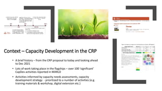 Capacity development and scaling for the Livestock CRP: Past, present and future