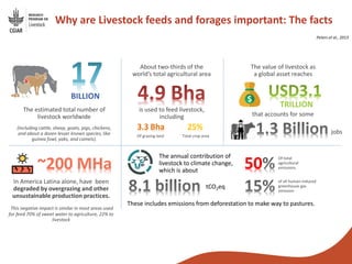 From genebanks to farmer’s fields: Forage breeding and selection to improve livelihoods