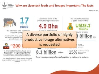 From genebanks to farmer’s fields: Forage breeding and selection to improve livelihoods