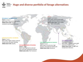 From genebanks to farmer’s fields: Forage breeding and selection to improve livelihoods